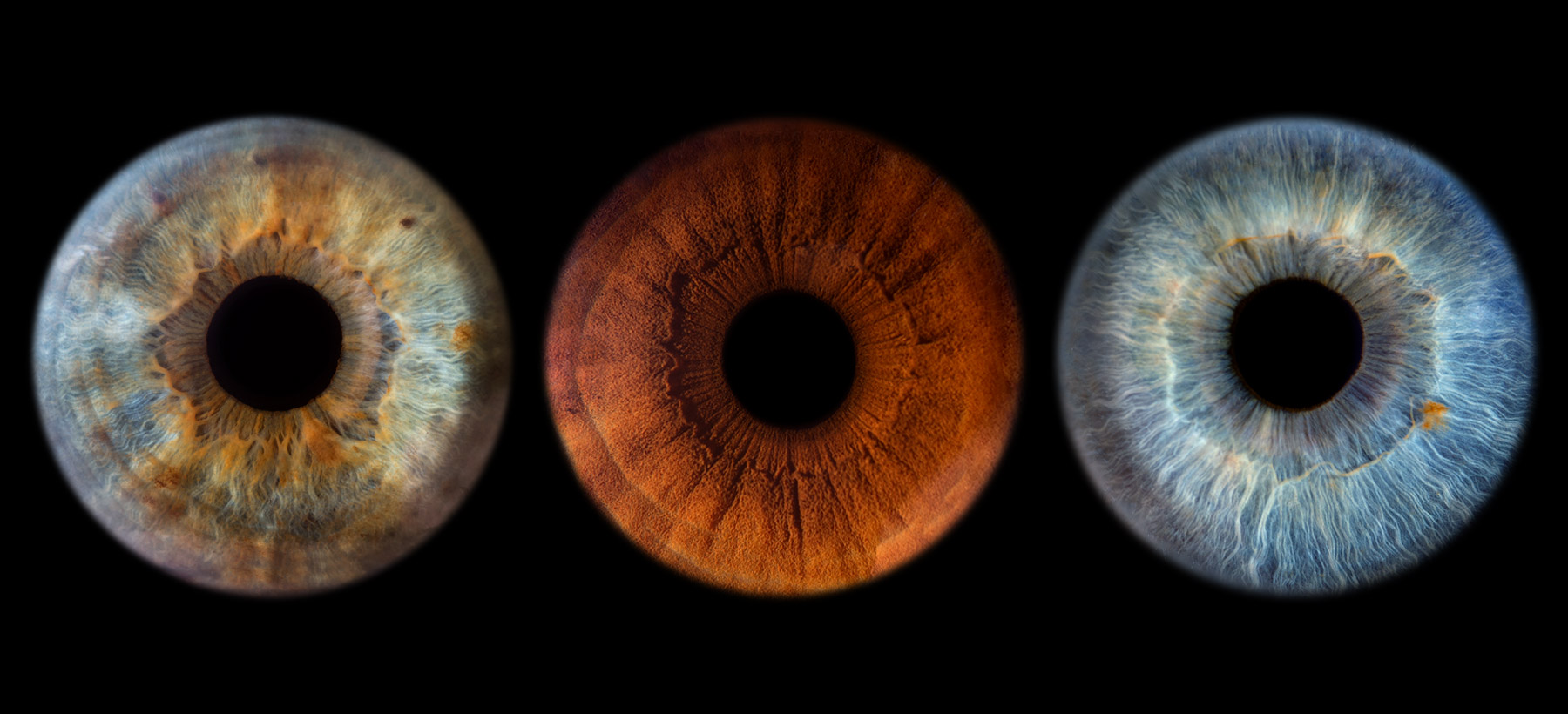 Makro fotografija šarenice